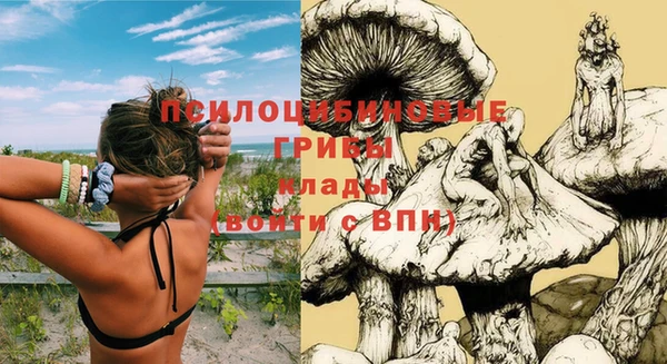 дистиллят марихуана Новозыбков