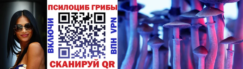 мега зеркало  Куртамыш  дарк нет как зайти  Псилоцибиновые грибы мухоморы 